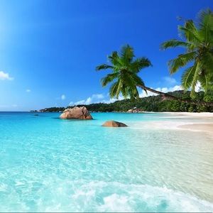 Meet your Posher, Sammy